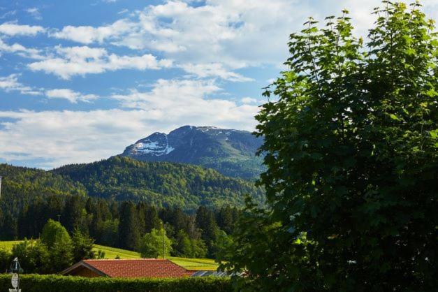 Haus Almrose Reit im Winkl Exterior foto